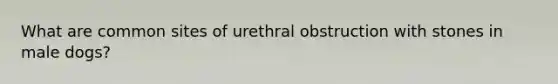 What are common sites of urethral obstruction with stones in male dogs?