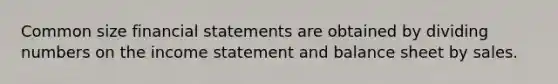 Common size <a href='https://www.questionai.com/knowledge/kFBJaQCz4b-financial-statements' class='anchor-knowledge'>financial statements</a> are obtained by dividing numbers on the <a href='https://www.questionai.com/knowledge/kCPMsnOwdm-income-statement' class='anchor-knowledge'>income statement</a> and balance sheet by sales.