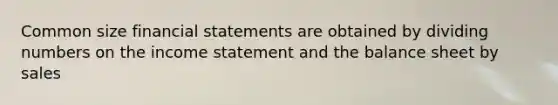 Common size <a href='https://www.questionai.com/knowledge/kFBJaQCz4b-financial-statements' class='anchor-knowledge'>financial statements</a> are obtained by dividing numbers on the <a href='https://www.questionai.com/knowledge/kCPMsnOwdm-income-statement' class='anchor-knowledge'>income statement</a> and the balance sheet by sales