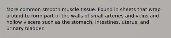 More common smooth <a href='https://www.questionai.com/knowledge/kMDq0yZc0j-muscle-tissue' class='anchor-knowledge'>muscle tissue</a>. Found in sheets that wrap around to form part of the walls of small arteries and veins and hollow viscera such as <a href='https://www.questionai.com/knowledge/kLccSGjkt8-the-stomach' class='anchor-knowledge'>the stomach</a>, intestines, uterus, and urinary bladder.