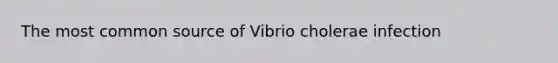 The most common source of Vibrio cholerae infection