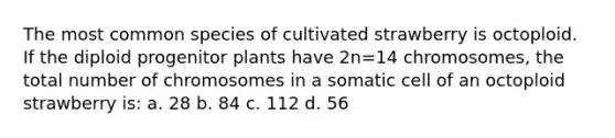 The most common species of cultivated strawberry is octoploid. If the diploid progenitor plants have 2n=14 chromosomes, the total number of chromosomes in a somatic cell of an octoploid strawberry is: a. 28 b. 84 c. 112 d. 56