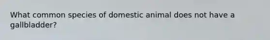 What common species of domestic animal does not have a gallbladder?