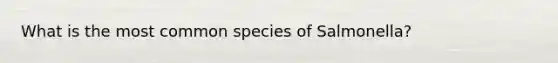 What is the most common species of Salmonella?