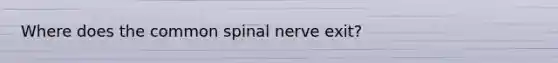 Where does the common spinal nerve exit?