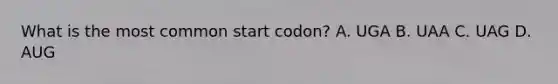 What is the most common start codon? A. UGA B. UAA C. UAG D. AUG