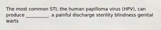 The most common STI, the human papilloma virus (HPV), can produce __________. a painful discharge sterility blindness genital warts