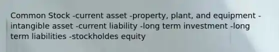 Common Stock -current asset -property, plant, and equipment -intangible asset -current liability -long term investment -long term liabilities -stockholdes equity