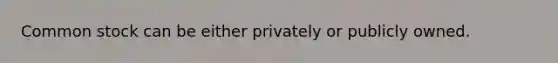 Common stock can be either privately or publicly owned.