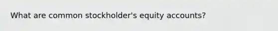 What are common stockholder's equity accounts?