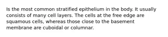 Is the most common stratified epithelium in the body. It usually consists of many cell layers. The cells at the free edge are squamous cells, whereas those close to the basement membrane are cuboidal or columnar.