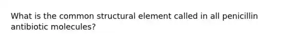 What is the common structural element called in all penicillin antibiotic molecules?