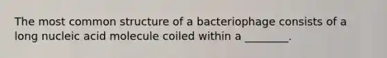 The most common structure of a bacteriophage consists of a long nucleic acid molecule coiled within a ________.