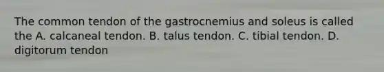 The common tendon of the gastrocnemius and soleus is called the A. calcaneal tendon. B. talus tendon. C. tibial tendon. D. digitorum tendon