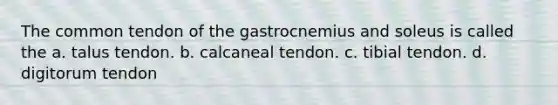 The common tendon of the gastrocnemius and soleus is called the a. talus tendon. b. calcaneal tendon. c. tibial tendon. d. digitorum tendon