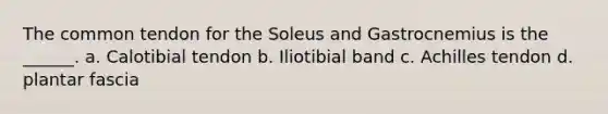 The common tendon for the Soleus and Gastrocnemius is the ______. a. Calotibial tendon b. Iliotibial band c. Achilles tendon d. plantar fascia