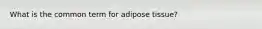 What is the common term for adipose tissue?