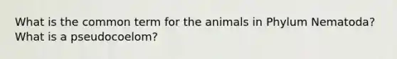 What is the common term for the animals in Phylum Nematoda? What is a pseudocoelom?