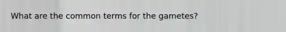 What are the common terms for the gametes?