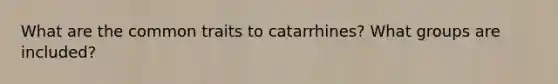 What are the common traits to catarrhines? What groups are included?