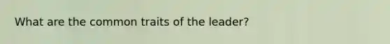 What are the common traits of the leader?