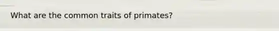 What are the common traits of primates?