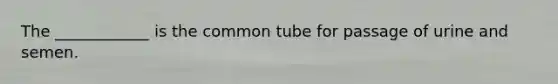 The ____________ is the common tube for passage of urine and semen.