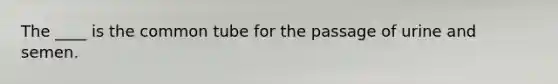 The ____ is the common tube for the passage of urine and semen.