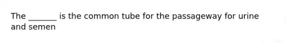 The _______ is the common tube for the passageway for urine and semen