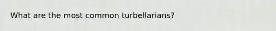 What are the most common turbellarians?