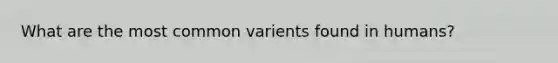 What are the most common varients found in humans?