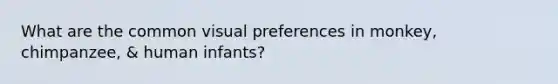 What are the common visual preferences in monkey, chimpanzee, & human infants?