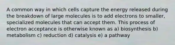 A common way in which cells capture the energy released during the breakdown of large molecules is to add electrons to smaller, specialized molecules that can accept them. This process of electron acceptance is otherwise known as a) biosynthesis b) metabolism c) reduction d) catalysis e) a pathway