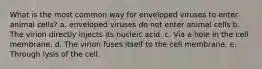 What is the most common way for enveloped viruses to enter animal cells? a. enveloped viruses do not enter animal cells b. The virion directly injects its nucleic acid. c. Via a hole in the cell membrane. d. The virion fuses itself to the cell membrane. e. Through lysis of the cell.