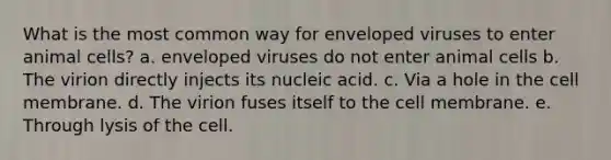 What is the most common way for enveloped viruses to enter animal cells? a. enveloped viruses do not enter animal cells b. The virion directly injects its nucleic acid. c. Via a hole in the cell membrane. d. The virion fuses itself to the cell membrane. e. Through lysis of the cell.