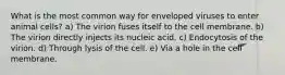 What is the most common way for enveloped viruses to enter animal cells? a) The virion fuses itself to the cell membrane. b) The virion directly injects its nucleic acid. c) Endocytosis of the virion. d) Through lysis of the cell. e) Via a hole in the cell membrane.