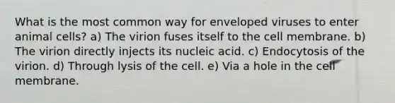 What is the most common way for enveloped viruses to enter animal cells? a) The virion fuses itself to the cell membrane. b) The virion directly injects its nucleic acid. c) Endocytosis of the virion. d) Through lysis of the cell. e) Via a hole in the cell membrane.