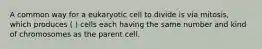 A common way for a eukaryotic cell to divide is via mitosis, which produces ( ) cells each having the same number and kind of chromosomes as the parent cell.