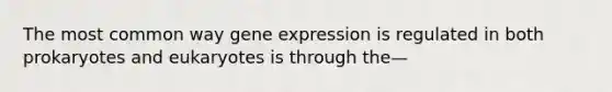 The most common way gene expression is regulated in both prokaryotes and eukaryotes is through the—