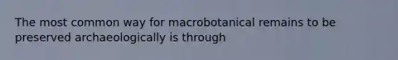 The most common way for macrobotanical remains to be preserved archaeologically is through