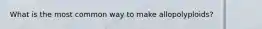 What is the most common way to make allopolyploids?
