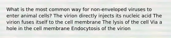 What is the most common way for non-enveloped viruses to enter animal cells? The virion directly injects its nucleic acid The virion fuses itself to the cell membrane The lysis of the cell Via a hole in the cell membrane Endocytosis of the virion