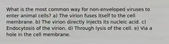 What is the most common way for non-enveloped viruses to enter animal cells? a) The virion fuses itself to the cell membrane. b) The virion directly injects its nucleic acid. c) Endocytosis of the virion. d) Through lysis of the cell. e) Via a hole in the cell membrane.