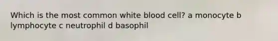 Which is the most common white blood cell? a monocyte b lymphocyte c neutrophil d basophil