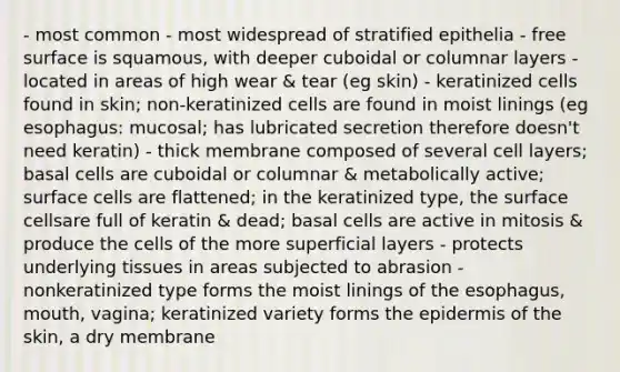 - most common - most widespread of stratified epithelia - free surface is squamous, with deeper cuboidal or columnar layers - located in areas of high wear & tear (eg skin) - keratinized cells found in skin; non-keratinized cells are found in moist linings (eg esophagus: mucosal; has lubricated secretion therefore doesn't need keratin) - thick membrane composed of several cell layers; basal cells are cuboidal or columnar & metabolically active; surface cells are flattened; in the keratinized type, the surface cellsare full of keratin & dead; basal cells are active in mitosis & produce the cells of the more superficial layers - protects underlying tissues in areas subjected to abrasion - nonkeratinized type forms the moist linings of the esophagus, mouth, vagina; keratinized variety forms the epidermis of the skin, a dry membrane