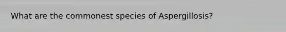What are the commonest species of Aspergillosis?