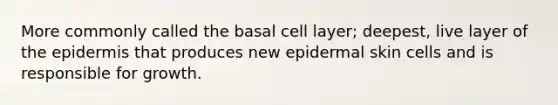 More commonly called the basal cell layer; deepest, live layer of the epidermis that produces new epidermal skin cells and is responsible for growth.