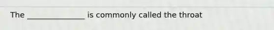 The _______________ is commonly called the throat