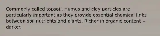 Commonly called topsoil. Humus and clay particles are particularly important as they provide essential chemical links between soil nutrients and plants. Richer in organic content -- darker.