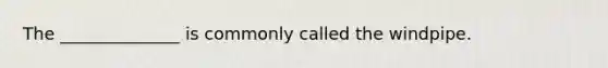 The ______________ is commonly called the windpipe.